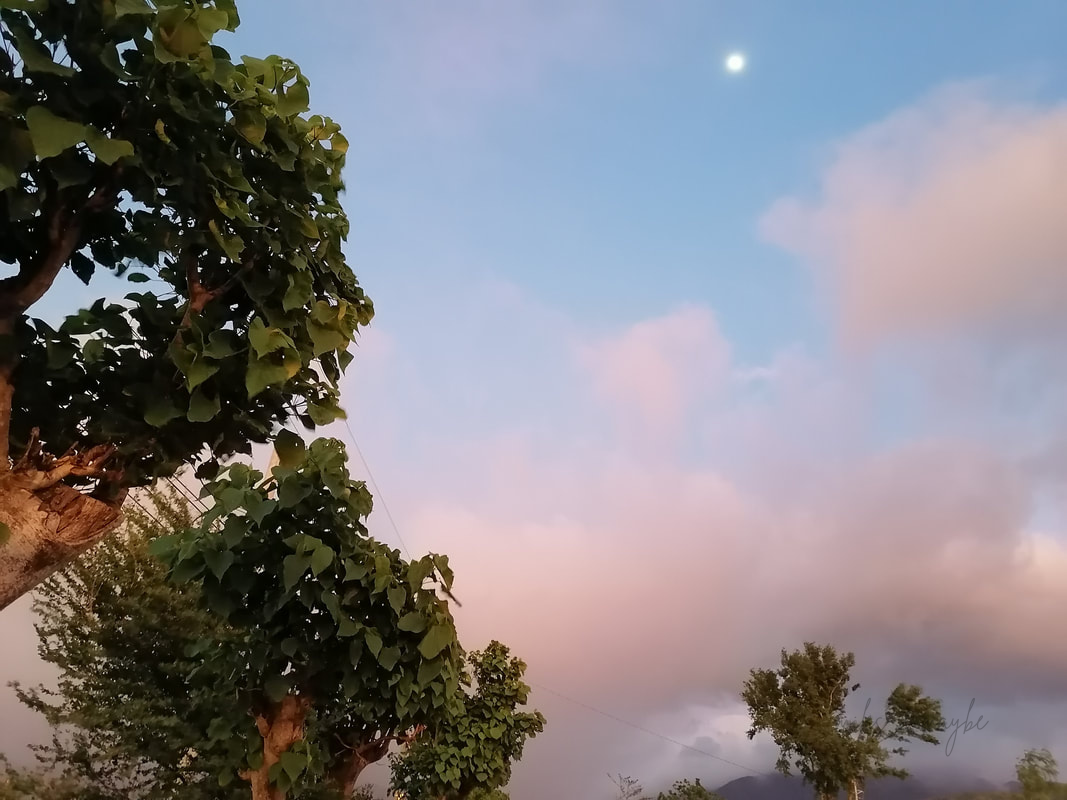 Pink and blue sky